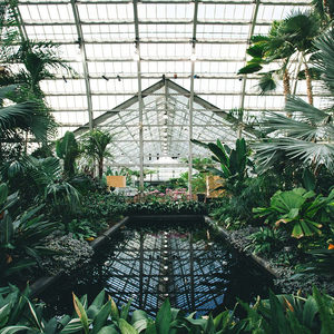 郎玉专辑《玉1》
